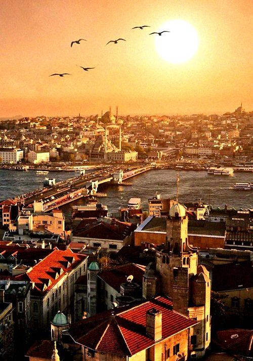 什么是国际新闻,国际新闻概述