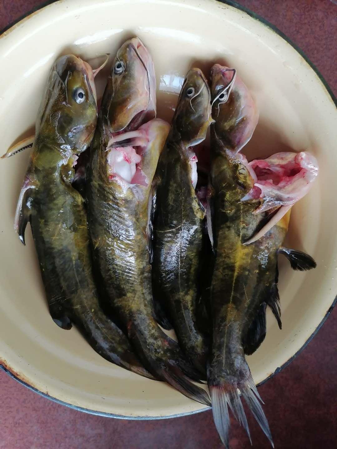 今天干什么，探索生活的多样性与丰富性，探索生活多彩面貌，每日新体验与发现