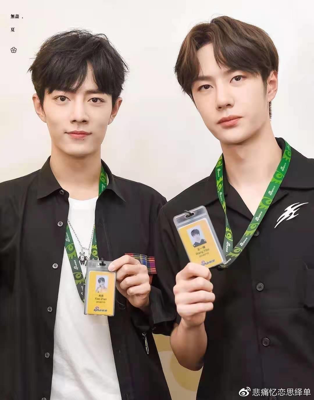 王中王一肖大公开资料，王中王一肖独家公开资料揭秘