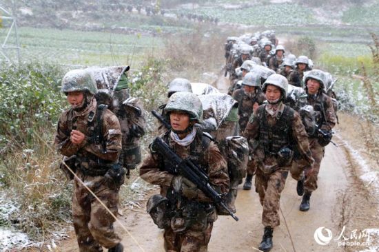 原陆军第十四集团军，荣耀与担当的象征，陆军第十四集团军，荣耀与担当的永恒象征