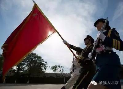 三军仪仗队人数标准,历史、现状与发展趋势,三军仪仗队,人数标准、历史沿革与未来发展趋势