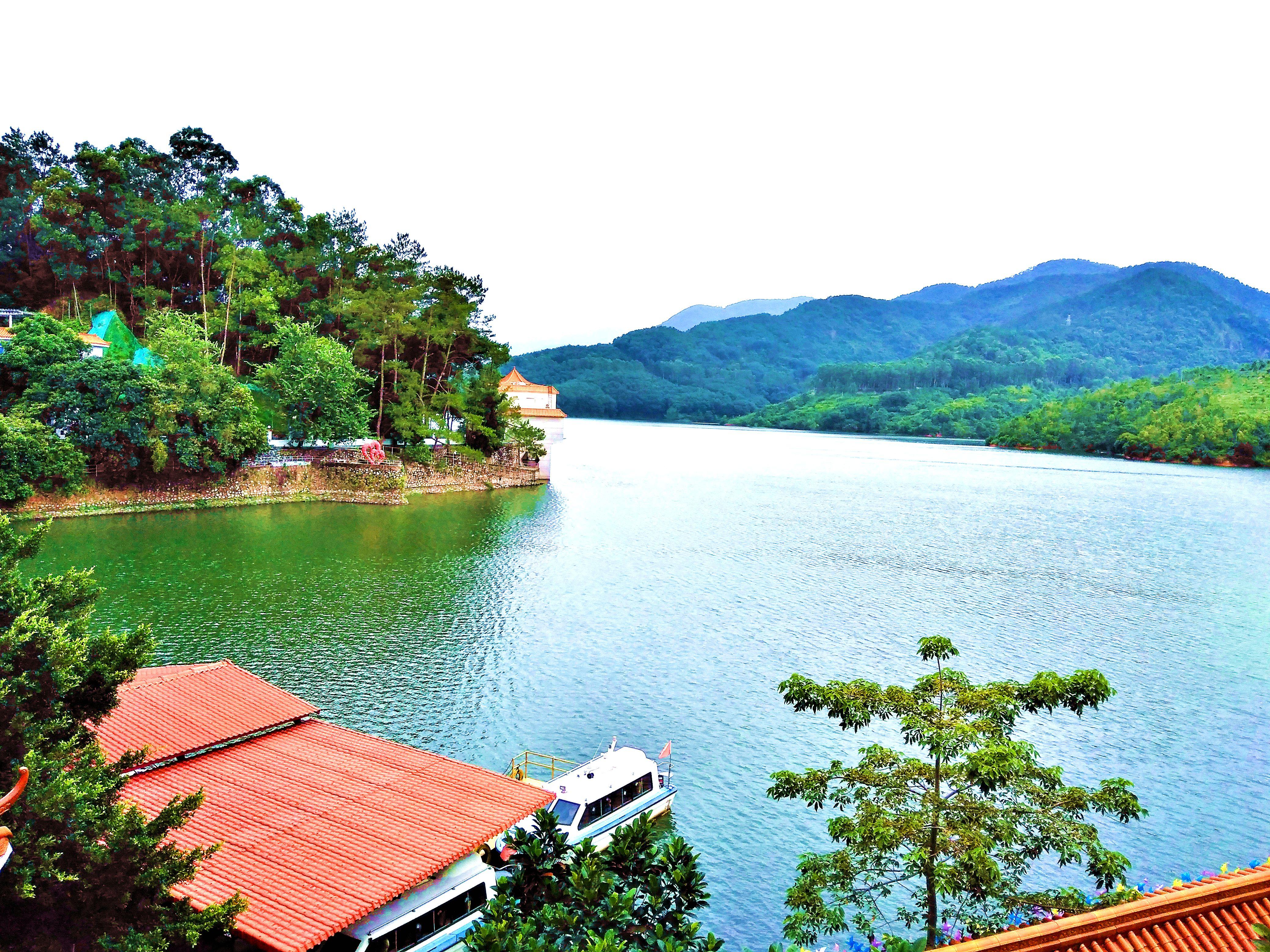 茂名军舰的未来展望,茂名军舰的未来展望与趋势分析