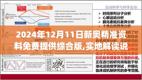 探索未来，2025新奥精准资料免费大全（第078期深度解析），探索未来，2025新奥精准资料免费大全（深度解析第078期）