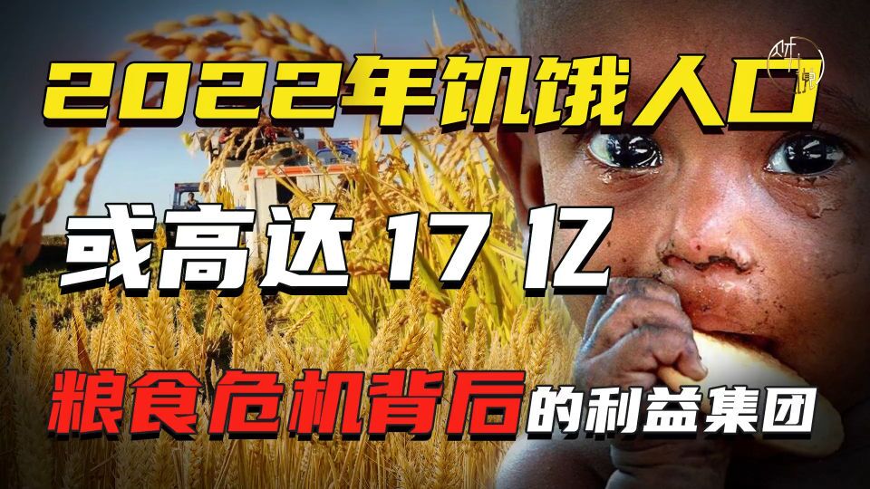全球聚焦，2022年世界粮食危机最新消息，全球关注下的粮食危机，2022年世界粮食状况最新动态