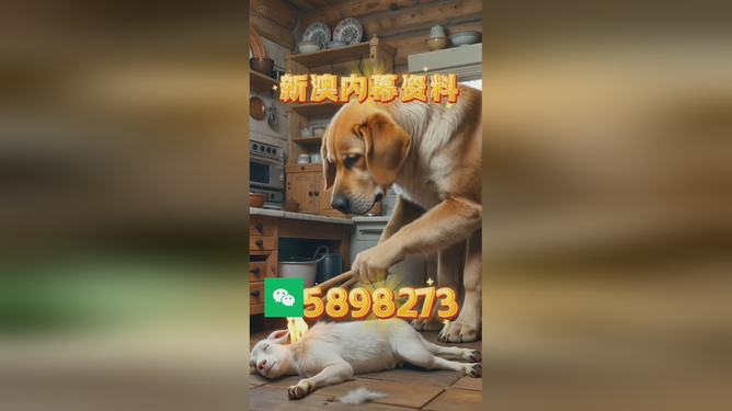 澳门精准四不像,探索与预测的未来展望,澳门精准四不像的未来展望与探索预测