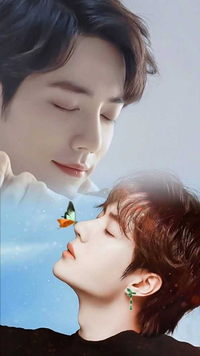 王中王一肖资料详解，王中王一肖资料大全解析