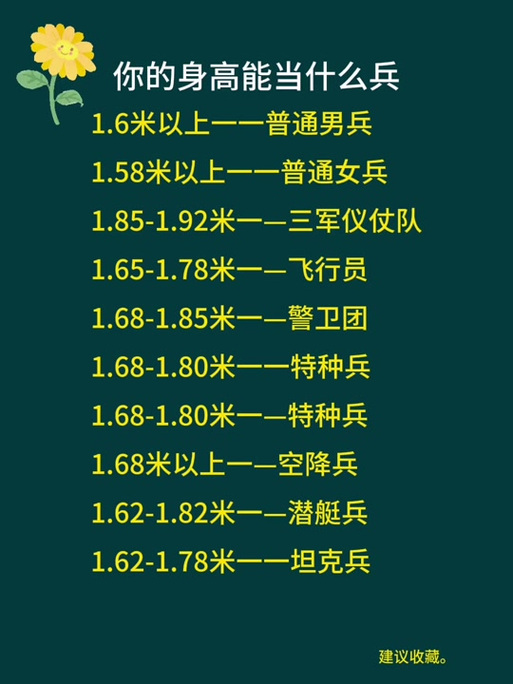 仪仗队身高标准要求的探讨,仪仗队身高标准要求的深度解析