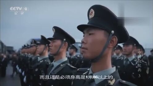 仪仗队身高标准要求的探讨,仪仗队身高标准要求的深度解析