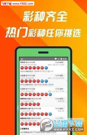 探索数字背后的故事，王中王一肖与数字493333的传奇，王中王一肖与数字493333的传奇故事探索