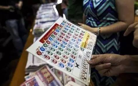 香港六合彩开奖结果及开奖记录深度解析（2023年观察），香港六合彩开奖结果与记录深度解析（2023年观察报告）