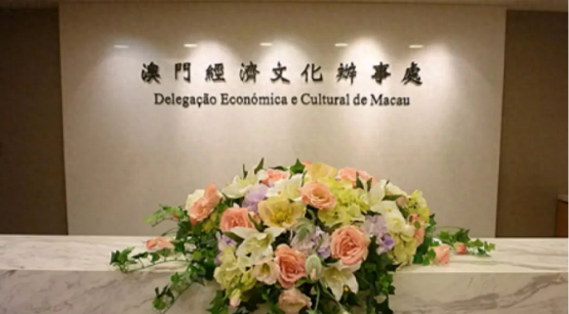 澳门一码一肖一待一中四不像，探索与解读，澳门神秘现象，一码一肖一待一中四不像的解读与探索