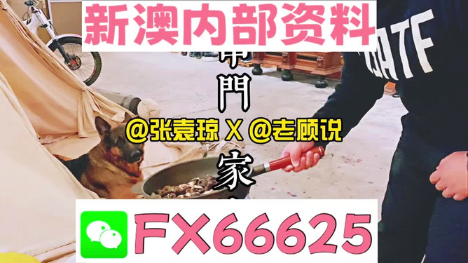 新澳门精准资料大全与管家婆料,探索与解析,澳门精准资料大全与管家婆料,深度探索与解析