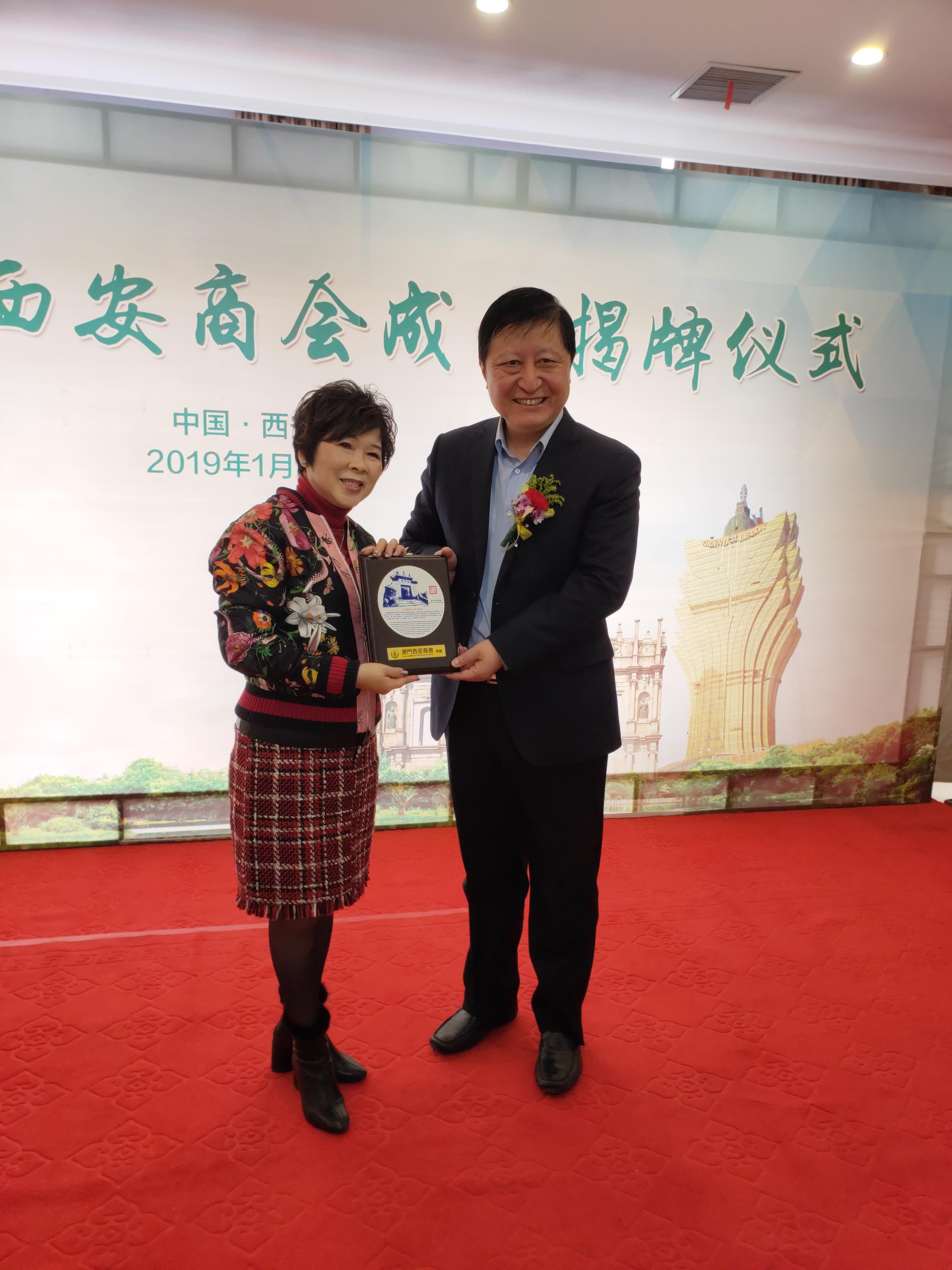 澳门一肖中100%期期准揭秘,探索背后的秘密与真相,澳门一肖中100%期期精准揭秘,探索背后的秘密真相