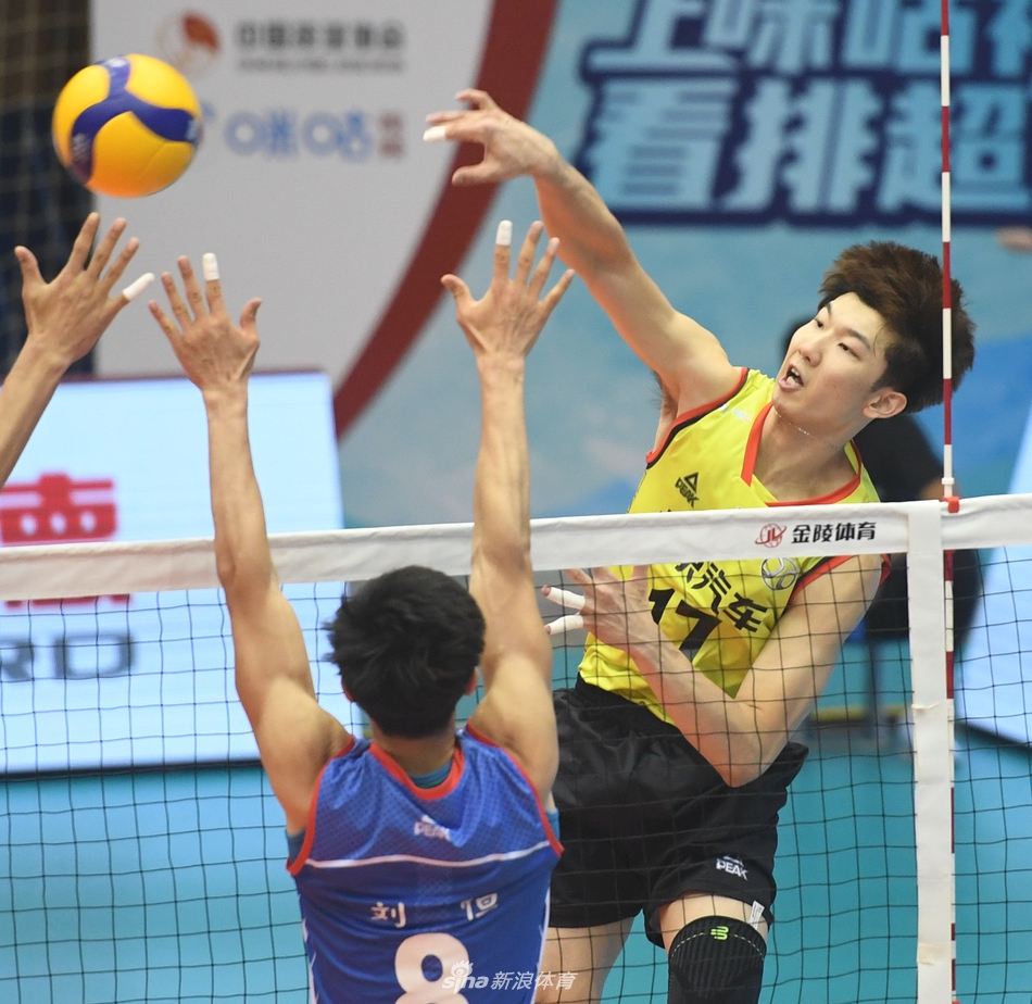 王中王平特一肖四不像图,探索与解读,王中王平特一肖四不像图的探索与解读