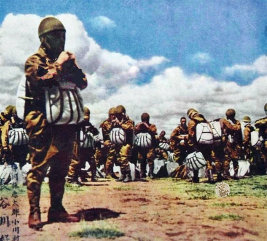 空降兵第十五军,揭秘中国特种兵种的荣耀与使命,揭秘中国特种兵种荣耀与使命,空降兵第十五军篇