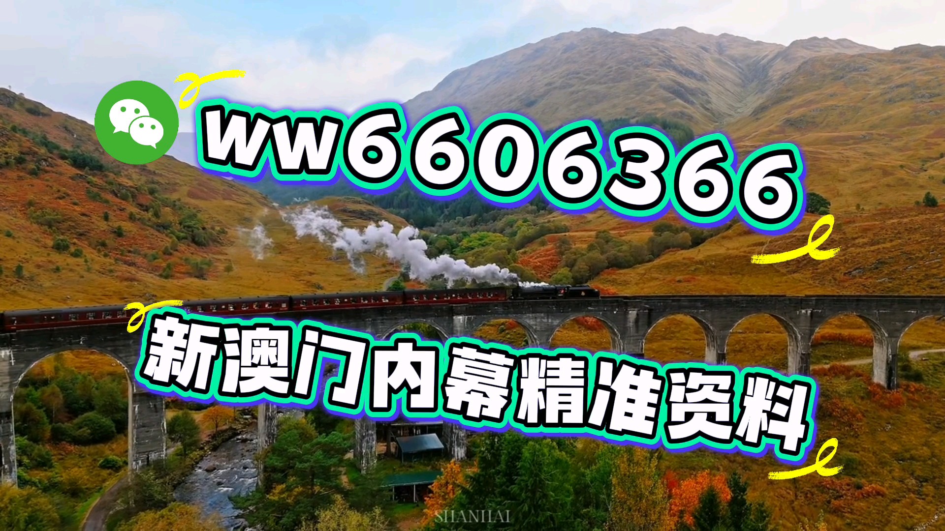 澳门一肖一码期期准资料，揭秘与探讨，澳门一肖一码期期准资料揭秘与探讨内幕