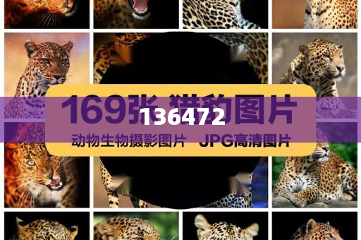 探索未来，揭秘2025新澳天天精准大全的谜语世界，揭秘未来，探索新澳天天精准大全的谜语世界 2025展望