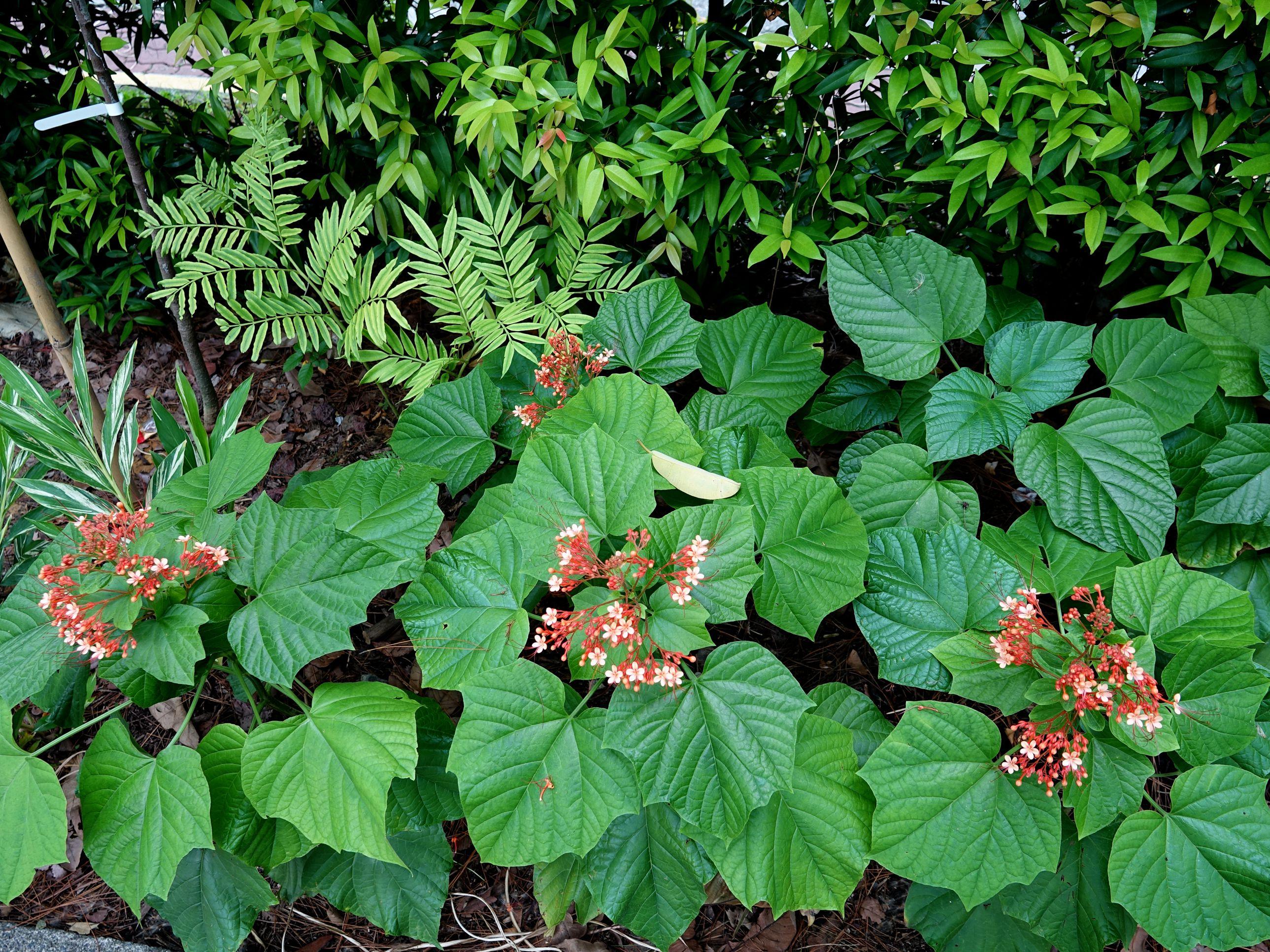 状元红资料免费大全,挖掘知识宝藏的门户,状元红资料免费大全,知识宝藏的挖掘门户