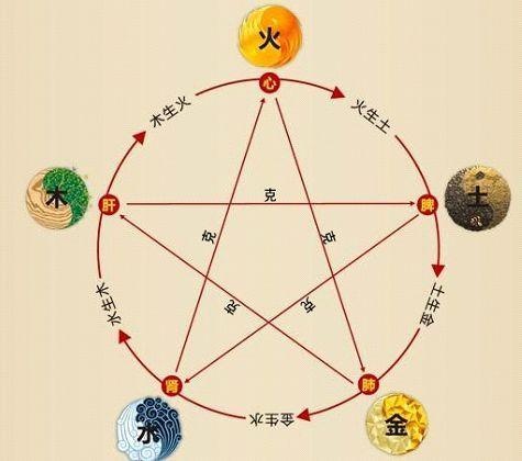 铁算算盘4887最准资料，揭秘精准算盘的奥秘，揭秘铁算算盘4887，精准预测的秘密与最准资料解析