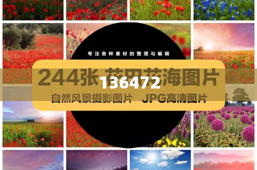 探索未来，2025新澳天天精准大全之谜，揭秘未来奥秘，新澳天天精准大全探索之旅（2025版）