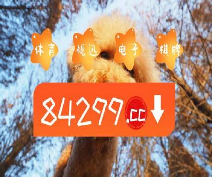 澳门天天六开彩正版澳门，探索彩票文化的魅力与责任，澳门天天六开彩正版探索彩票文化的魅力与责任之旅