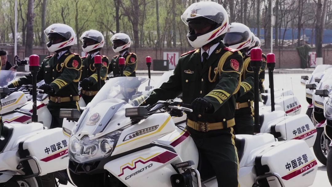 国宾护卫队,荣耀与责任的交响,国宾护卫队,荣耀与责任的守护者