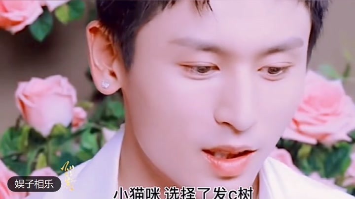 澳门正版资料大全与生肖卡的独特魅力,澳门正版资料大全与生肖卡的独特魅力揭秘