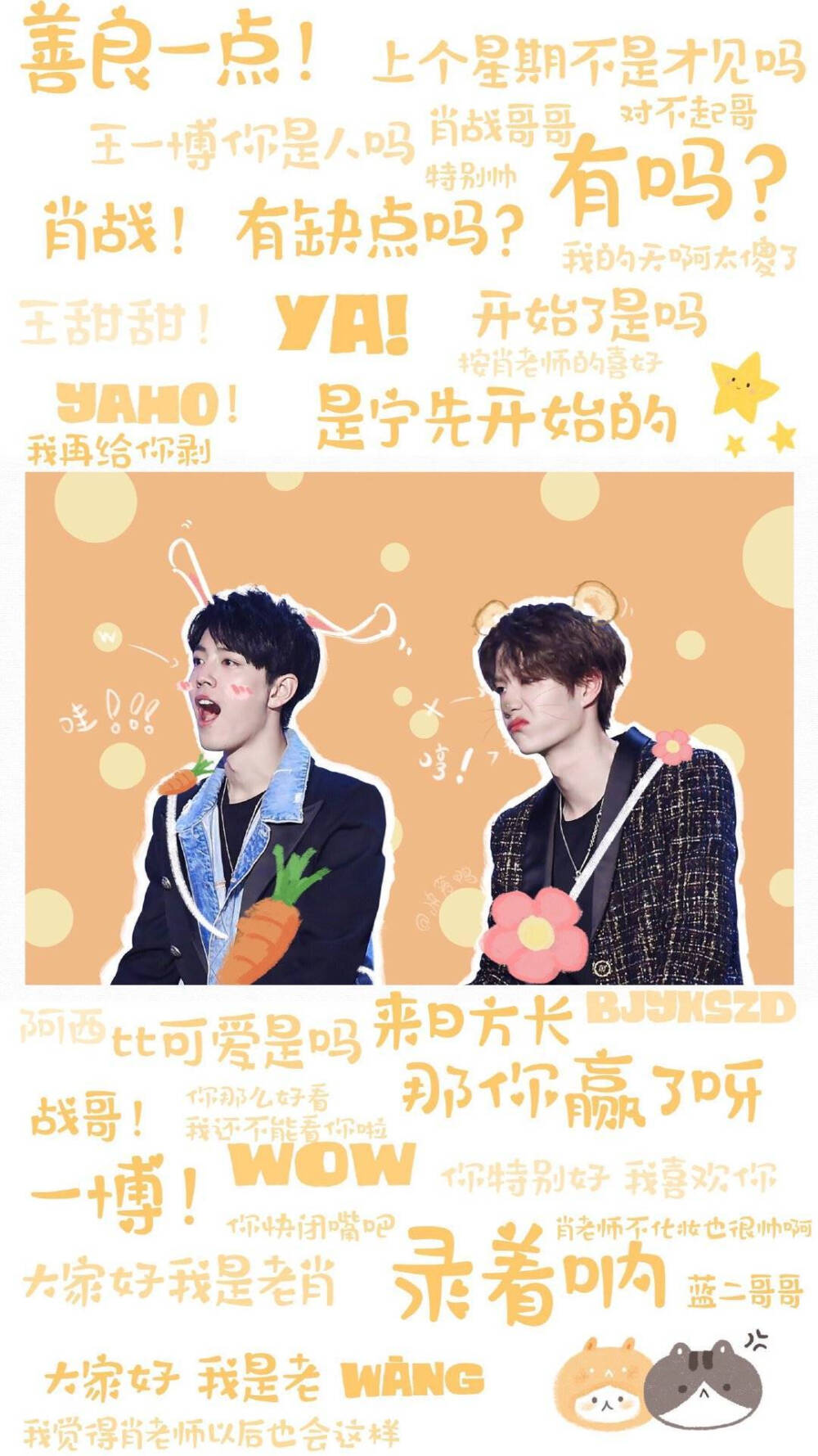 王中王一肖中特下的独特魅力与深度解读，王中王一肖中特，独特魅力与深度解读