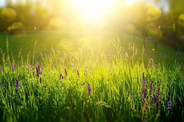 最新消息，今年北方雨季的态势与影响分析，北方雨季最新态势及其影响分析