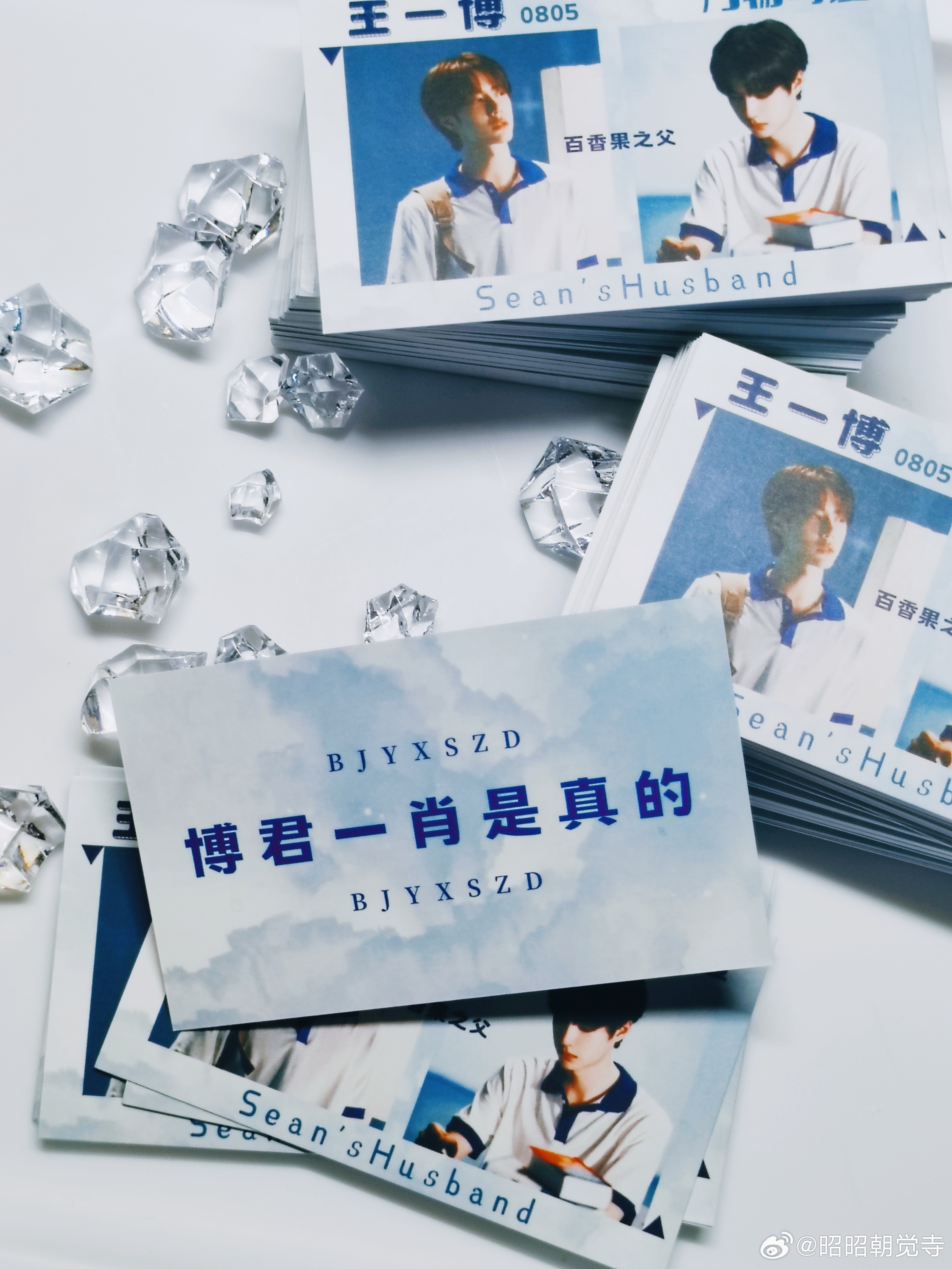 金年资料王中王一肖中的独特价值与重要性,金年资料王中王一肖的独特价值及其重要性解析