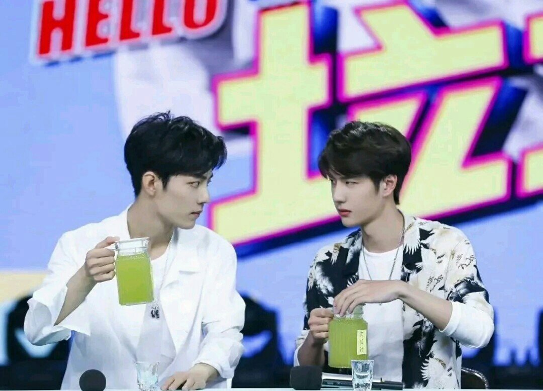 王中王一肖中特百分百的独特魅力与重要性，王中王一肖中特，独特魅力的百分百重要性解析