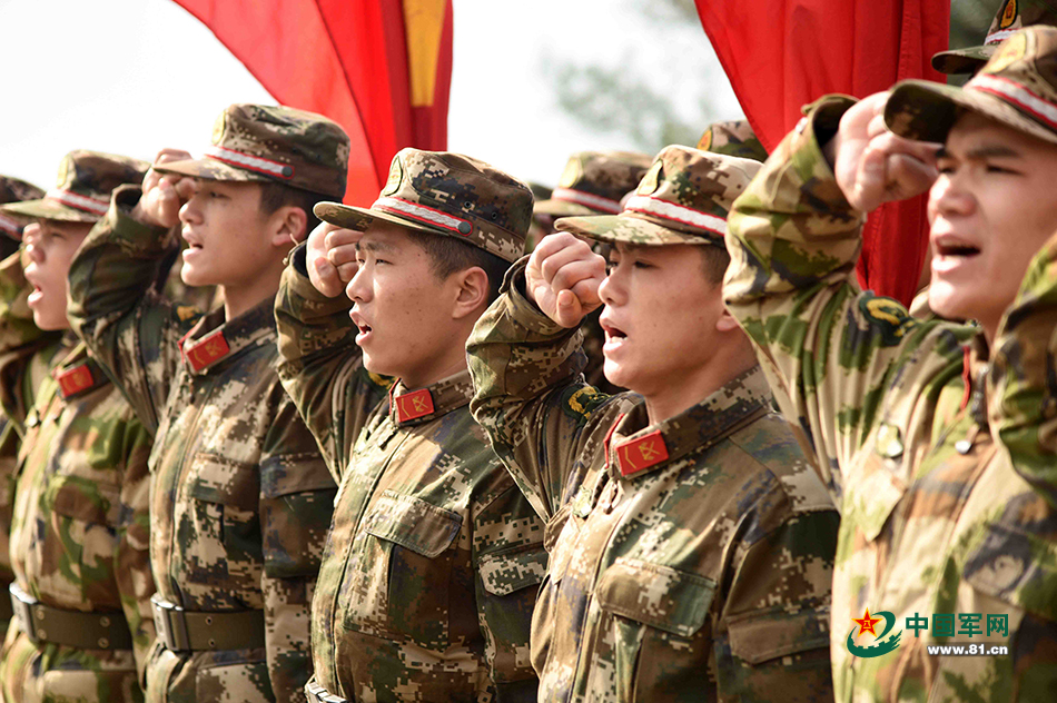 中国女兵武警图片大全,展现力量与荣耀,中国女兵武警图片展示,力量与荣耀的辉煌时刻