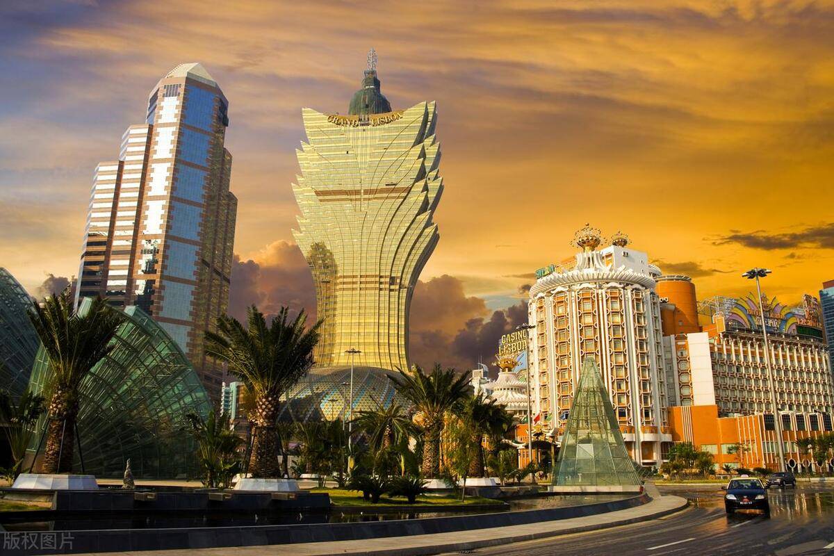 头条澳门最快开奖网,探索与体验,头条澳门最快开奖网,探索与体验之旅