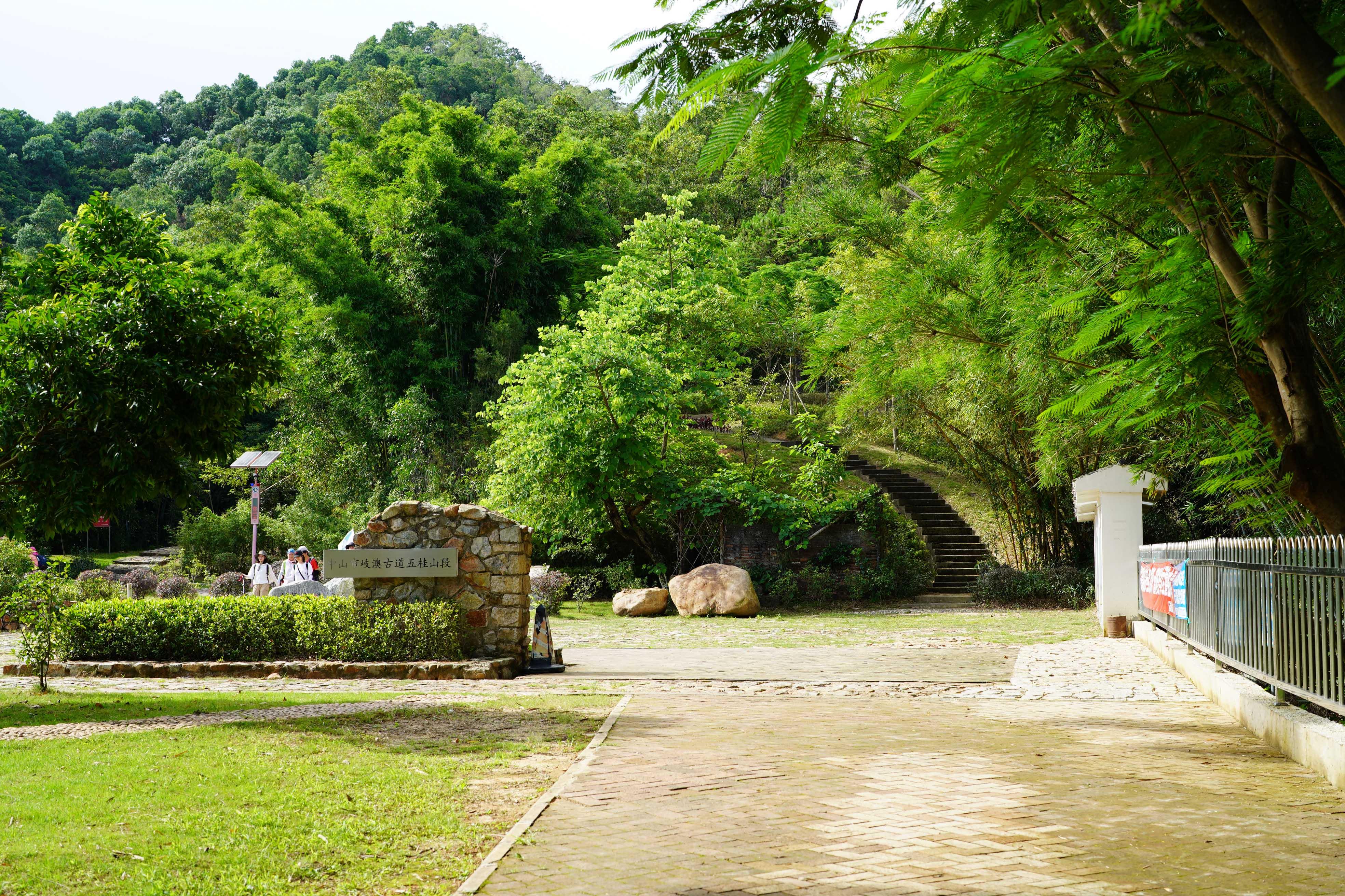 新澳门彩出号综合走势分析，澳门彩票出号走势综合解析