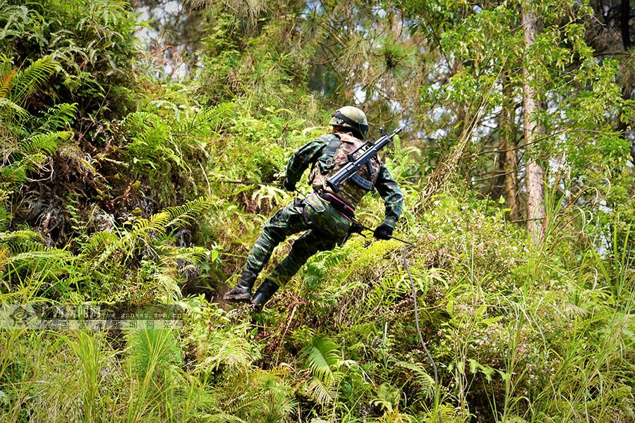 新闻发布系统的目的及其重要性，新闻发布系统的目标与重要性解析