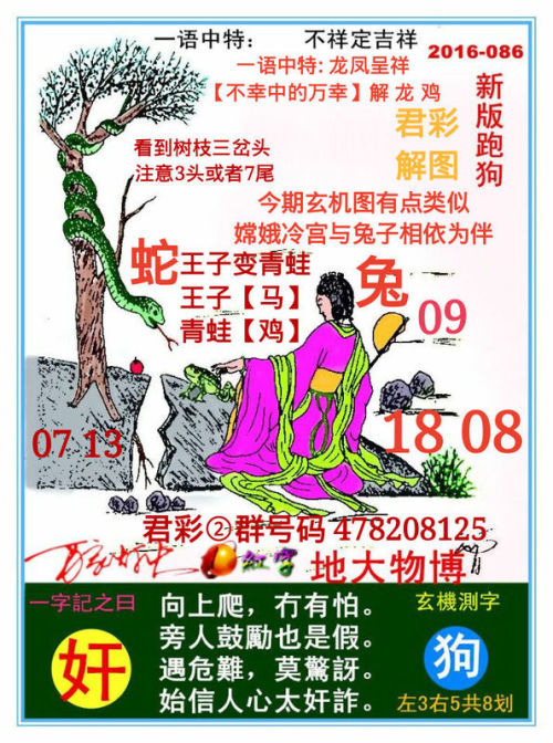 探索精准跑狗图,数字组合的魅力与跑狗图的奥秘,精准跑狗图揭秘,数字组合的魅力和奥秘探索