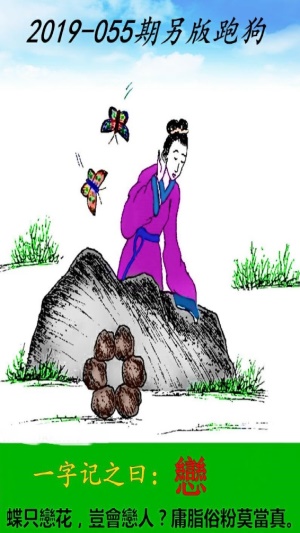 探索精准跑狗图,数字组合的魅力与跑狗图的奥秘,精准跑狗图揭秘,数字组合的魅力和奥秘探索