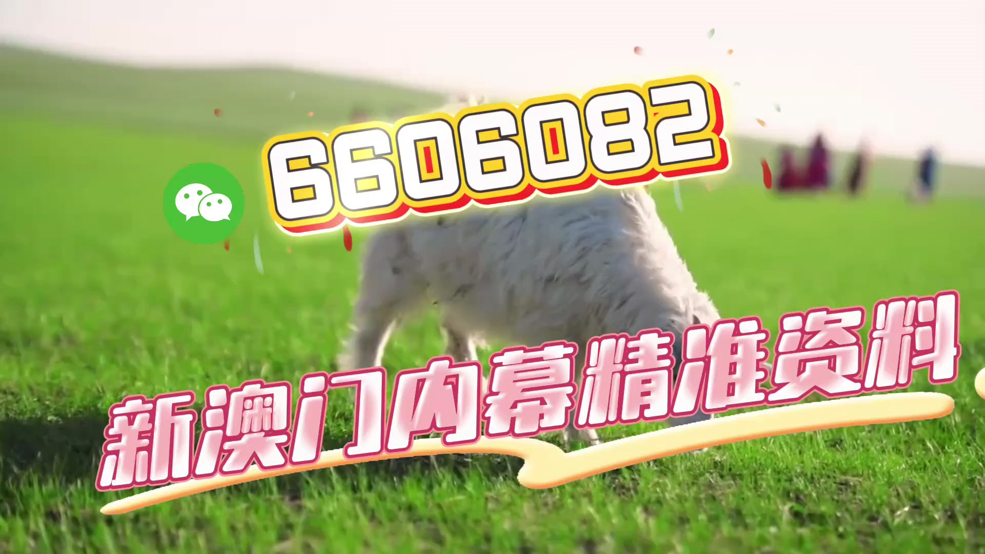 澳门一肖一码必中一肖一精准,探索背后的秘密与策略,澳门一肖一码必中策略,揭秘背后的秘密与精准预测技巧