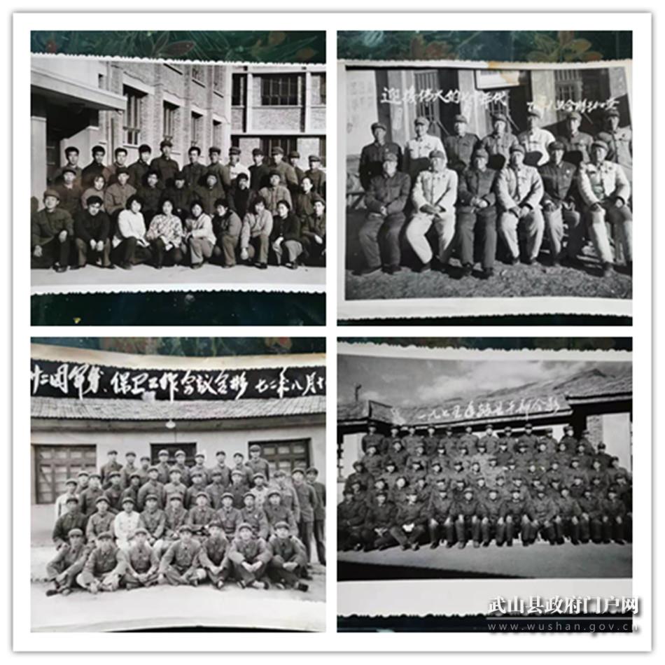 步兵第11师第33团简介,步兵第11师第33团概览