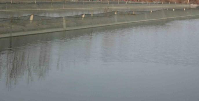 中国人民武装警察部队特种警察学院招生条件详解,中国人民武装警察部队特种警察学院招生条件全面解析