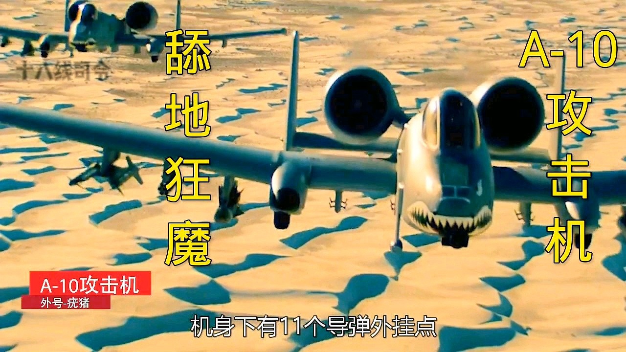 关于A-10疣猪攻击机的价格及其相关分析，A-10疣猪攻击机的价格及相关深度解析