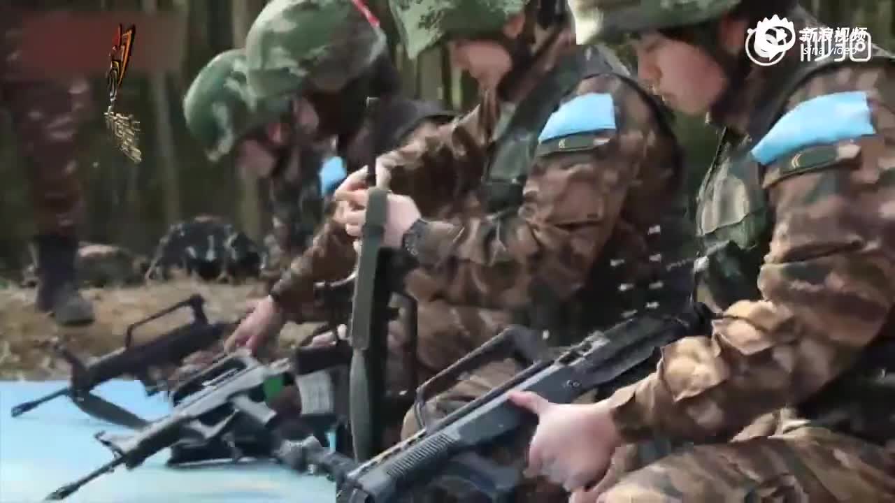 中国武警陆军女兵图片,展现力量与荣耀,中国武警陆军女兵风采,力量与荣耀的展现