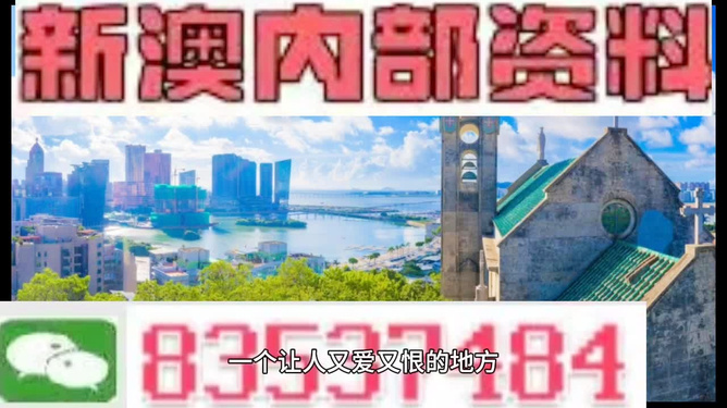 新澳门码资料49图库,探索与解析,新澳门码资料49图库,深度探索与解析