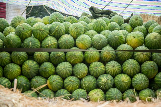 澳门一肖中100%期期准揭秘,探寻彩票背后的秘密,澳门彩票秘密揭秘,一肖中100%期期准,探寻彩票背后的真相