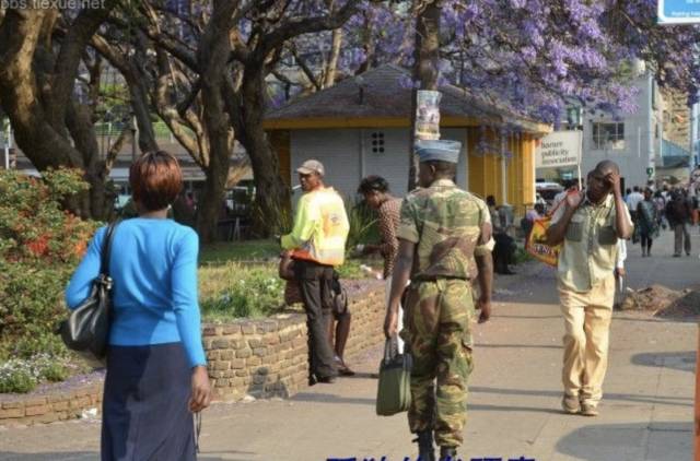 荣耀与力量 第2页