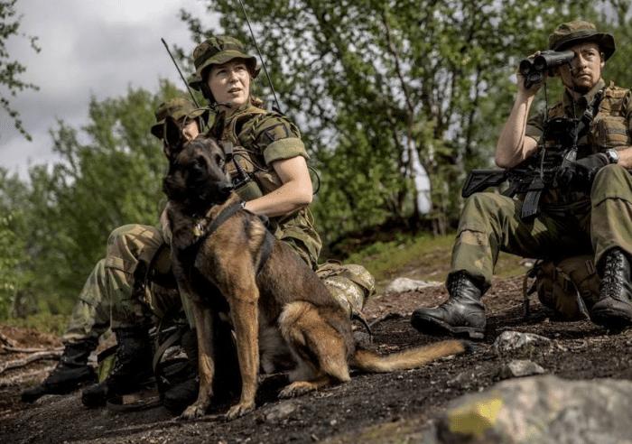 女兵列队表演,展现力量与荣耀的壮丽画卷,女兵列队表演,力量与荣耀的璀璨展现