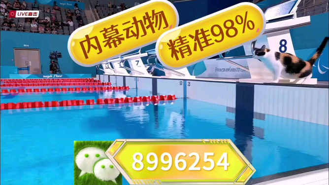 澳门今晚特马——探寻未来的繁荣与机遇（2025年展望），澳门未来繁荣与机遇展望，2025年特马之夜的发展蓝图