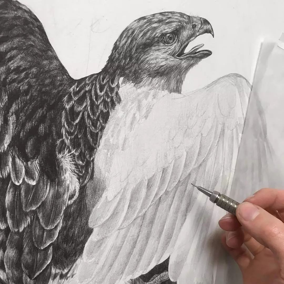 歼-35素描画，探索未来战机的艺术之美，歼-35素描画，探索未来战机艺术之美