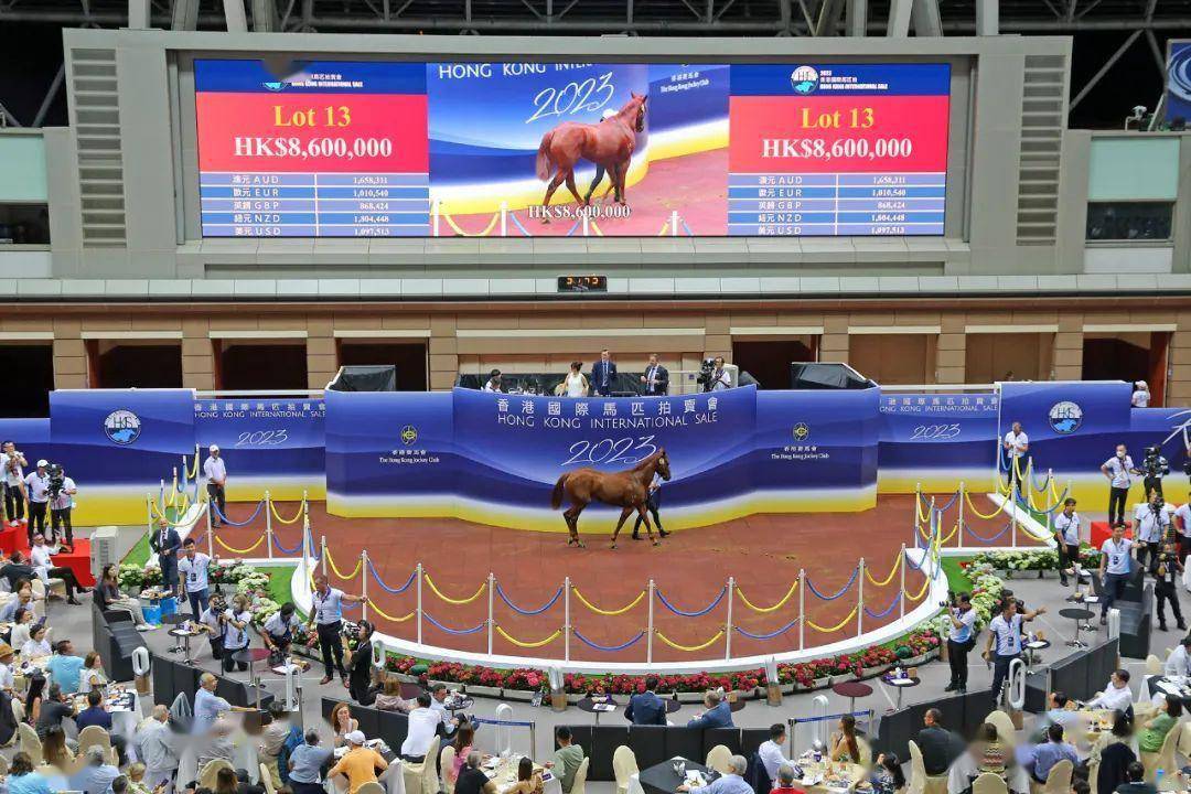 2023年香港马开奖记录概览与分析，2023年香港马开奖记录全景解析