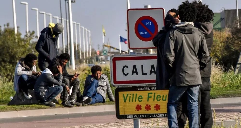 王中王一句解一肖——探寻生肖文化中的智慧与奥秘，探寻生肖文化中的智慧与奥秘——王中王一句解一肖